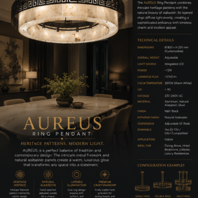 Chandelier for Hotel Restaurant & Villa 5